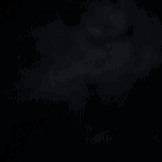 MadBonger_DTS1