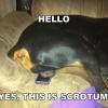 Unkle_Grimace