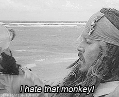 I-hate-that-monkey-pirates-of-the-caribbean-28161991-245-200.gif.5e39c0c0372da8fd9ff740c8ca65254e.gif