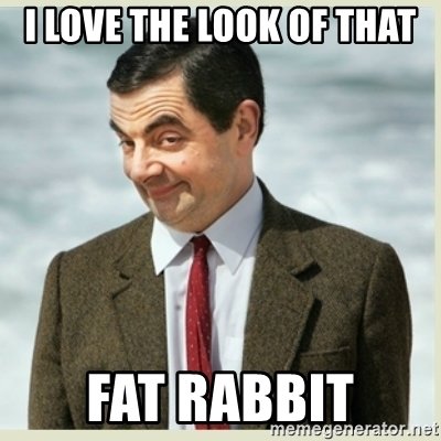 i-love-the-look-of-that-fat-rabbit.jpg.168c27d8e4116851d7be999fab6f53fb.jpg
