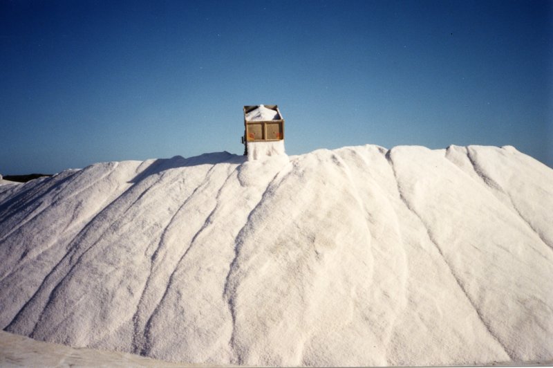 wa-salt-supply-harvest-march-1991.jpg