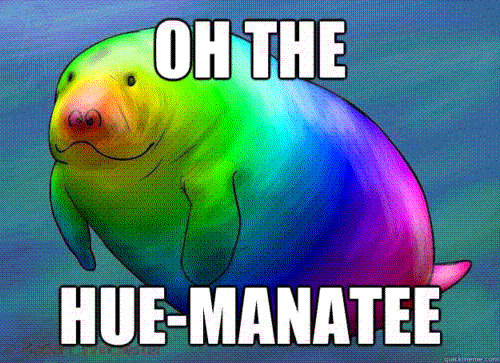 hue-manatee.gif.3bbea4e5c831485a9a24cbc130c898c9.gif