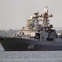 spotted_T34