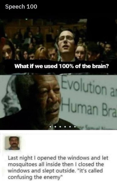 100% Brain usage.jpg