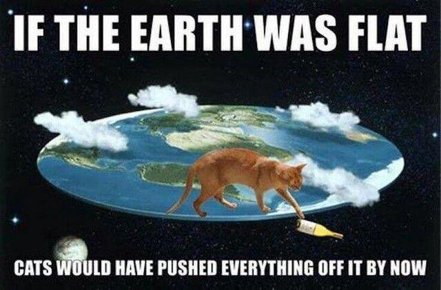 990374579_catsdisproveflatearth.jpg.c4565865e5027b584afa764910608dd3.jpg