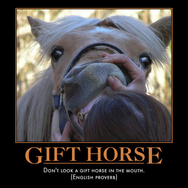 gifthorsemouth.jpg