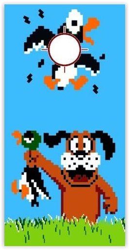 Duck_Hunt.jpg.938262323c54ddcabc927e23939d8793.jpg