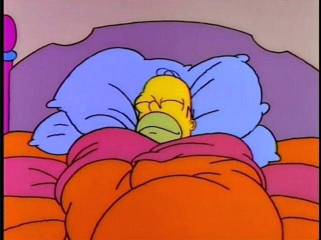 1670090017_homersleep.jpg.08b21380743874150081a37489d636a0.jpg