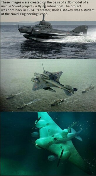 71251709_SovietFlyingSub.thumb.jpg.1fd0390cf197c2f1d1679cb554a525ed.jpg