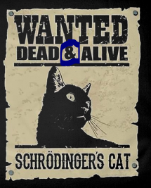 schrodinger.PNG.1551318b8e99f5c02864c7f026f91523.PNG