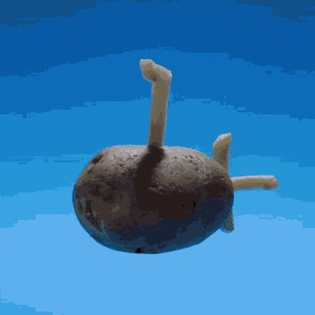 Future_Coral_Reef