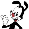 Yakko_